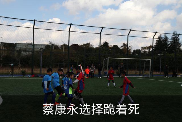 蔡康永选择跪着死